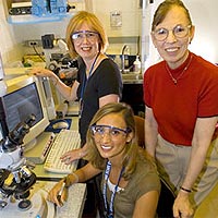 From left to right, authors Paula Bennett, Noelle Cutter and Betsy Sutherland. Not pictured, Guangming Zhou.<br /><br />Credit: BNL