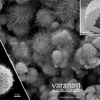 <p>
	Images taken with a Field Emission Scanning Electron Microscope show the nanowire bristles that form on copper particles of different sizes. At top right, a cross-section of one of the particles reveals its hollow interior.<br />
	Images courtesy of the Varanasi Lab</p>
