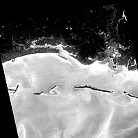 The Advanced Spaceborne Thermal Emission and Reflection Radiometer (ASTER) instrument on NASA's Terra spacecraft captured this image of the growing oil spill in the Gulf of Mexico on May 7, 2010. On April 20, 2010, an explosion destroyed the Deepwater Horizon oil platform operating in the Gulf of Mexico 80 kilometers (50 miles) offshore, resulting in substantial loss of life and releasing 5,000 barrels of oil per day into the water. The huge oil slick was being carried towards the Mississippi River Delta, and small amounts of oil had reached the Louisiana, Alabama, and Mississippi shores by May 3. <br /><br />This ASTER image covers an area measuring 60 by 240 kilometers (37 by 147 miles). The image is a thermal image, with the coldest surfaces appearing dark, and the warmest appearing white. The city of Pascagoula, Miss., is visible in the upper right corner; at night the land is colder (darker) than the Gulf waters. Offshore islands also appear dark compared to the surrounding ocean. The black dots and patches are small clouds, particularly in the southern half of the image. The thickest parts of the oil spill appear as dark grey, filamentous masses in the southern part of the image, extending off of the bottom. Other dark-light swirl patterns are water currents where different temperature water masses are visible. <br /><br />With its 14 spectral bands from the visible to the thermal infrared wavelength region and its high spatial resolution of 15 to 90 meters (about 50 to 300 feet), ASTER images Earth to map and monitor the changing surface of our planet. ASTER is one of five Earth-observing instruments launched December 18, 1999, on NASA's Terra. The instrument was built by Japan's Ministry of Economy, Trade and Industry. A joint U.S./Japan science team is responsible for validation and calibration of the instrument and the data products. <br /><br />The broad spectral coverage and high spectral resolution of ASTER provides scientists in numerous disciplines with critical information for surface mapping and monitoring of dynamic conditions and temporal change. Example applications are: monitoring glacial advances and retreats; monitoring potentially active volcanoes; identifying crop stress; determining cloud morphology and physical properties; wetlands evaluation; thermal pollution monitoring; coral reef degradation; surface temperature mapping of soils and geology; and measuring surface heat balance. <br /><br />The ASTER U.S. science team is located at NASA's Jet Propulsion Laboratory, Pasadena, Calif. The Terra mission is part of NASA's Science Mission Directorate, Washington, D.C. <br /><br />More information about ASTER is available at http://asterweb.jpl.nasa.gov/. <br />Image Credit: <br />NASA/GSFC/METI/ERSDAC/JAROS, and U.S./Japan ASTER Science Team