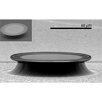 SEM micrograph of a toroid-shaped silica microcavity. The quality factor of this toroid was measured to be 1.00x10<sup>8</sup>. Image courtesy: Prof. Vahala, Caltech.