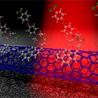 This diagram depicts a representation of chromophores attaching to a transistor made from a single carbon nanotube.<br /><br />Image courtesy: Sandia National Laboratories