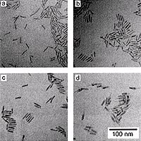 Transmission electron micrographs (TEMS) of medium length (3.3x 23 nm) CdSe core nanorods (a) and the same cores with different thickness shells of Cd/ZnS (b-d). The shell thickness is 2 monolayers (b), 4.5 monolayers (c), and 6.5 monolayers (d). 
<P>
Image courtesy: Lawrence Berkeley National Laboratory