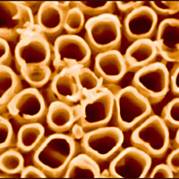 Scanning electron microscope image of typical titania nanotubes for a photocatalytic cell to produce hydrogen gas from water. Nanotubes average roughly 90-100 nanometers in diameter. <br /><br />Credit: Menon, Northeastern University