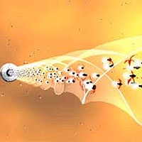 This NSF animation demonstrates how a beam of unpolarized light can be filtered into a polarized beam by the periodic twist of a specially-made optical fiber. <A HREF='http://www.nsf.gov/od/lpa/newsroom/pr_video.cfm?ni=10000000000109&vi=5000000000024' TARGET='_blank'>Click here to view the animation.</A>
<P>
Credit: Trent L. Schindler / National Science Foundation