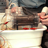 The Microbial Fuel Cell
<P>
Photo Credit: Greg Grieco, Penn State