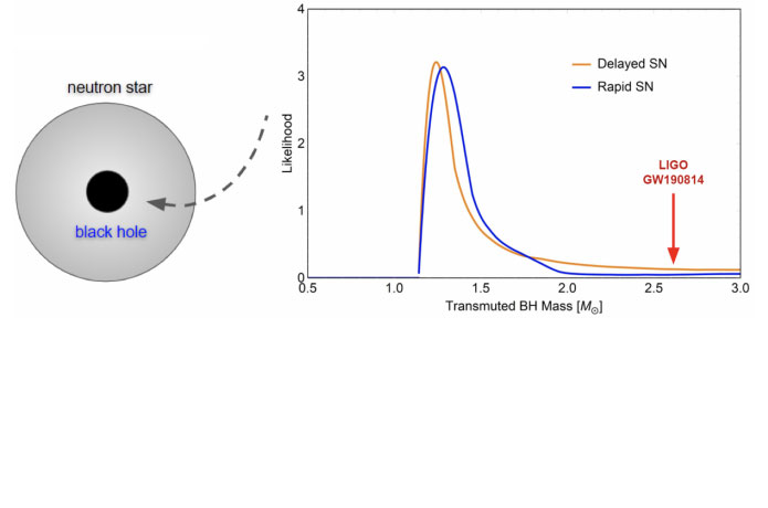 <p>[Left] A tiny primordial black hole being captured by a neutron star, subsequently devouring it and leaving a “transmuted” solar-mass black hole remnant behind. [Right] Expected mass distribution of “transmuted” solar-mass black holes following neutron stars formed as a result of a delayed or a rapid supernova. The LIGO GW190814 event with 2.6 solar-mass black hole candidate is also shown.</p>

<p>Credit: Takhistov et. al.</p>
